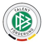 logo-dfb