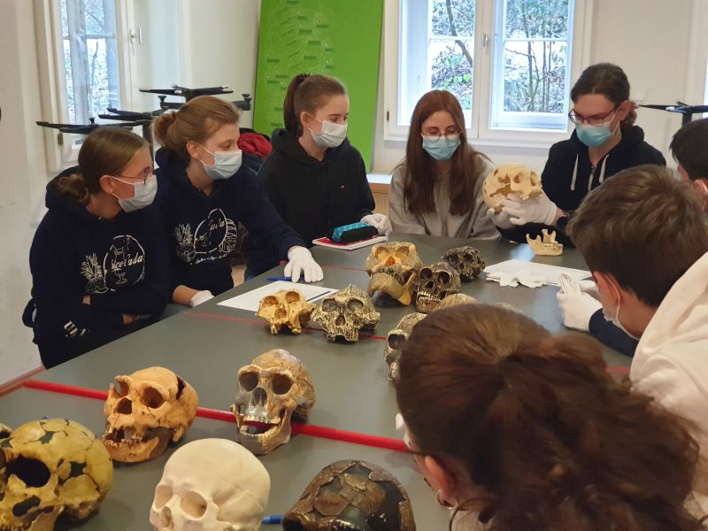 Besuch des Neandertalmuseums