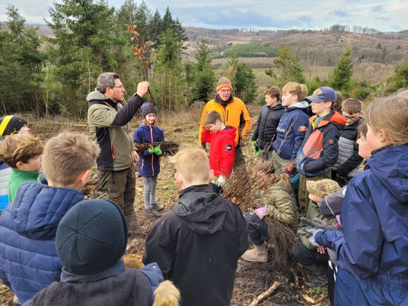 Baumpflanzaktion Zukunftswald